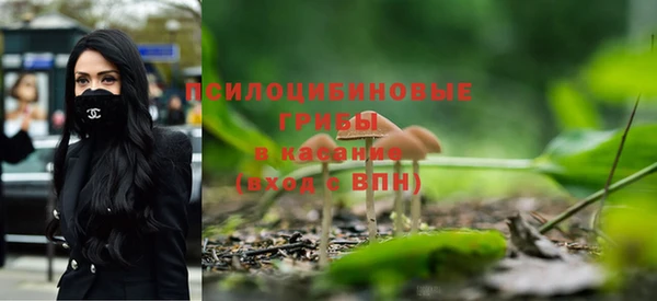 соль ск Горняк