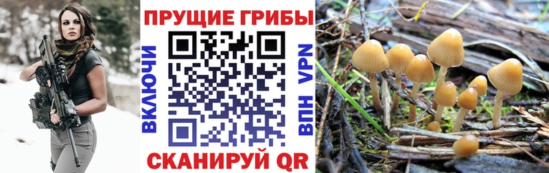 Галлюциногенные грибы мухоморы  Александровск 